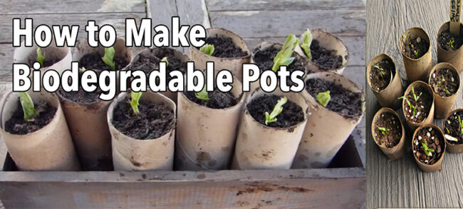 Large paper tube can be used as flower culture pot